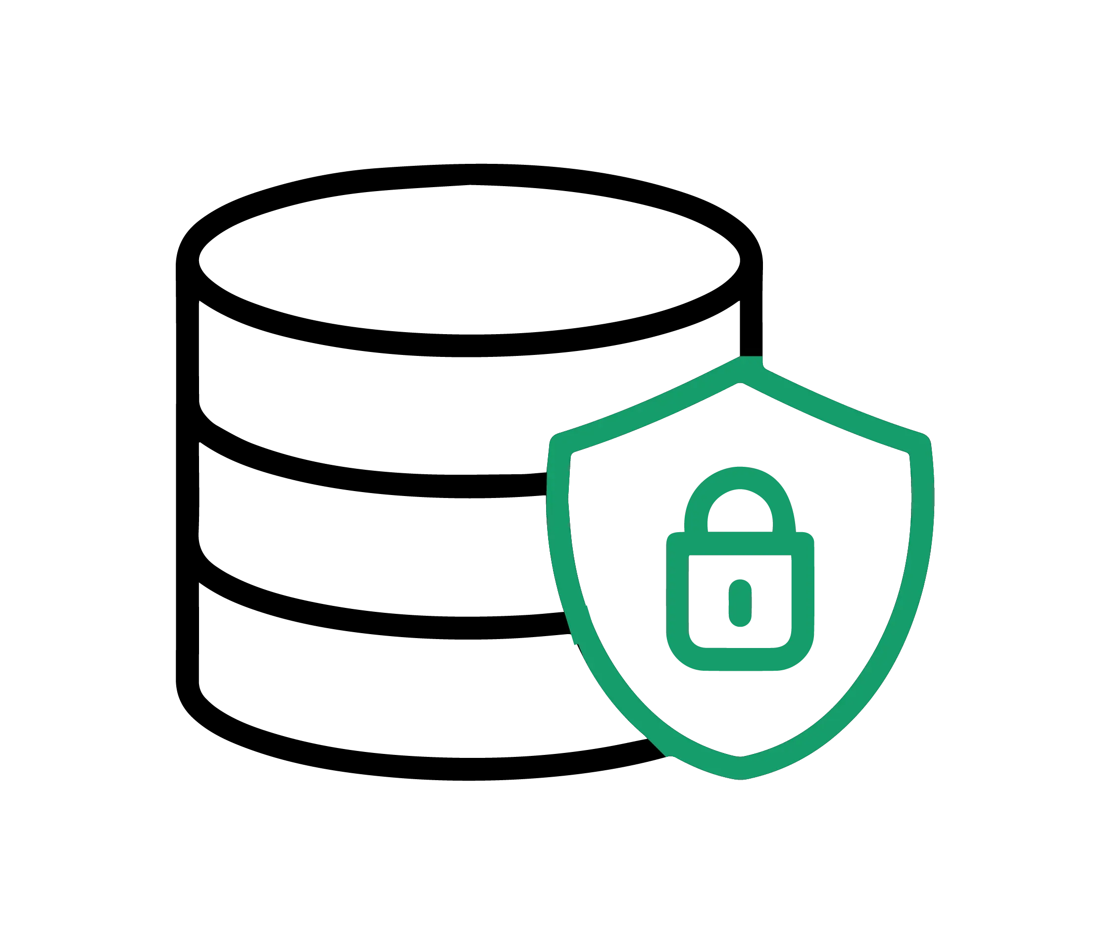 100% Data Safety